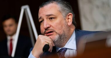 In a video speaking with the Ruthless Podcast, exclusively obtained by the Daily Mail, Senator Ted Cruz said 'Hell no' he does not want Trump to appoint him to the Supreme Court