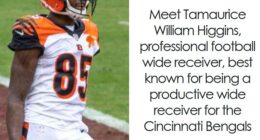 Tee Higgins: Bio And Career Highlights