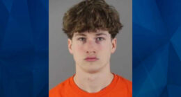 Teen Pummels Elderly Driver in Road Rage Incident