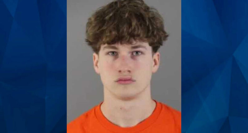 Teen Pummels Elderly Driver in Road Rage Incident