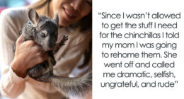 Teen Tries To Give Gifted Chinchillas A Proper Life, Mom Mad She Won’t Settle For The Bare Minimum