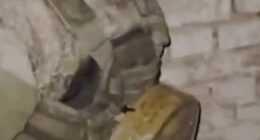 Online footage shows Francis with the landmine strapped to him