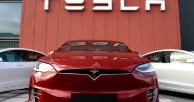 Tesla EV sales fall short of Wall Street’s low expectations