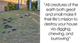 “The American Dream”: 84 Homeownership Nightmares No One Warned You About