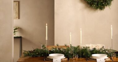 High street and homeware retailers are slashing the prices of their Christmas decorations, meaning it's the perfect opportunity to get next year's decor sorted (Pictured: The White Company Pre-Lit Fir Tree Centrepiece Garland, £66.50)