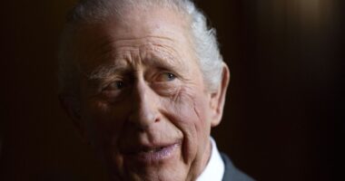 The King lets his guard down in new documentary