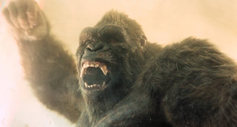 The Monsterverse's Next Story Raises New Questions About Godzilla & Kong's History