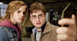 The Perfect Harry Potter Replacement?