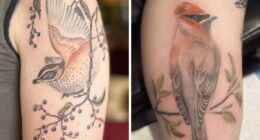 The Timeless Bird Tattoos By Tara Morgan