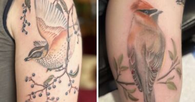 The Timeless Bird Tattoos By Tara Morgan