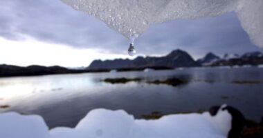 The US Already Has a Free Hand in Greenland – HotAir