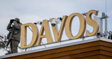 The financial elite aren’t worried about a stock-market bubble yet — but you can’t afford to be so complacent