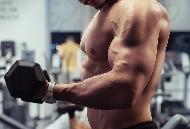 Personal trainers and fitness enthusiasts say they are seeing an uptick in the number of people working on their arms (stock image)