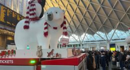 The rail, road, flight and ferry travel chaos you need to know about this New Year