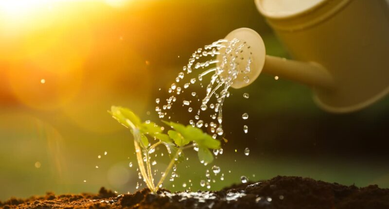 These under-the-radar stocks combine fast growth with big upside potential