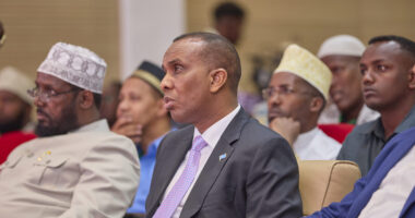 This Bill Bars Somali Officials From Accessing U.S. Funding.
