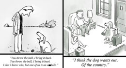 This Cartoonist Imagined What Dogs Would Say If They Could Talk (28 Pics)