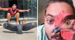 This Wild Vulture Bonded With A Human So Closely, Viewers Joke He’s “A Dog With Wings” (23 Pics)