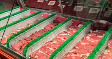 This bitcoin evangelist says inflation is far exceeding official statistics — by tracking ribeye prices