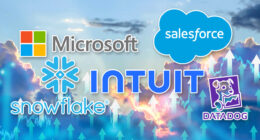 This group of tech stocks screams opportunity after a bewildering selloff