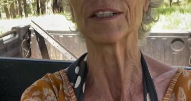 Natural beauty: Rachel Ward on her cattle farm in New South Wales, Australia, this week