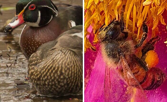 Through Their Eyes: The Rockefeller State Park Preserve Staff Photo Exhibit