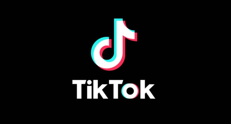 TikTok Deal Settles Dispute Between Donald Trump and Joe Biden