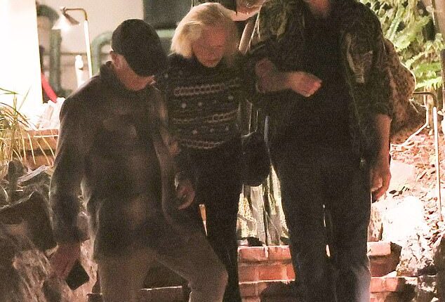 Tippi Hedren, the legendary star of the Alfred Hitchcock movies The Birds and Marnie, surfaced in a rare public sighting this week