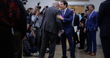 Marco Rubio was pictured wearing the shoes he had received as a gift from President Trump  as he met Senate Minority Leader Charles Schumer