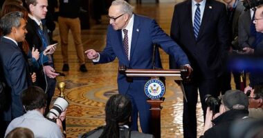 U.S. Senate Minority Leader Chuck Schumer, a New York Democrat speaks to members of the media after the weekly Senate Democratic caucus policy luncheon at the U.S. Capitol in Washington, D.C. on January 28, 2026