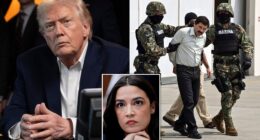 Top Republicans on CapitolHill who could check President Donald Trump's military authority largely believe he has carte blanche to order strikes anywhere, anytime. 'He's the commander in chief,' House Judiciary Chairman Jim Jordan told the Daily Mail when asked if the president can strike any country of his liking. 'I think what he did in Venezuela is a good thing.' When pressed again on whether Trump has unlimited power to strike any location worldwide, the OhioRepublican admitted 'the president could make his case, and we'd go from there.'