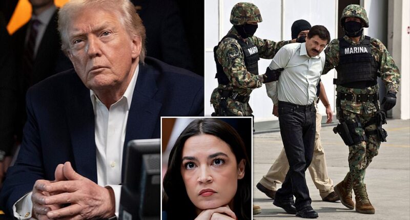 Top Republicans on CapitolHill who could check President Donald Trump's military authority largely believe he has carte blanche to order strikes anywhere, anytime. 'He's the commander in chief,' House Judiciary Chairman Jim Jordan told the Daily Mail when asked if the president can strike any country of his liking. 'I think what he did in Venezuela is a good thing.' When pressed again on whether Trump has unlimited power to strike any location worldwide, the OhioRepublican admitted 'the president could make his case, and we'd go from there.'