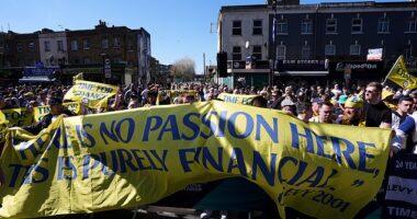 Tottenham fans are planning yet another protest against their leadership and results