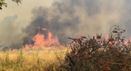 The Longwood fire has grown to 145,000 hectares in size, with hundreds of crews now deployed to the scene