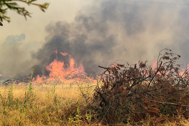 The Longwood fire has grown to 145,000 hectares in size, with hundreds of crews now deployed to the scene