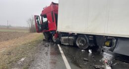 Seven PAOK fans have tragically died after their minibus crashed with a lorry in Romania