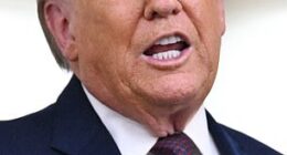 Donald Trump has agreed to pull ICE agents out of Minnesota