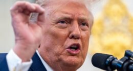 Trump Appoints New Federal Fraud Czar – RedState