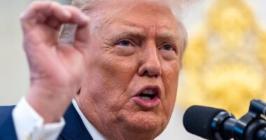 Trump Appoints New Federal Fraud Czar – RedState