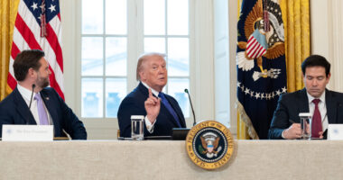 Trump Dismisses Insurrection Act Use... For Now.