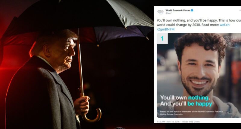 Trump Thumps Davos' 'You'll Own Nothing' Plan. And Here's Another Target for His Sights.