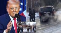 President Donald Trump has issued a statement addressing the deadly shooting of a woman by an Immigration and Customs Enforcement (ICE) officer in Minneapolis. 'I have just viewed the clip of the event which took place in Minneapolis, Minnesota,' the president's lengthy statement began. 'It is a horrible thing to watch.' 'The woman screaming was, obviously, a professional agitator, and the woman driving the car was very disorderly, obstructing and resisting, who then violently, willfully, and viciously ran over the ICE Officer, who seems to have shot her in self defense,' Trump continued.
