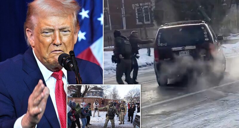 President Donald Trump has issued a statement addressing the deadly shooting of a woman by an Immigration and Customs Enforcement (ICE) officer in Minneapolis. 'I have just viewed the clip of the event which took place in Minneapolis, Minnesota,' the president's lengthy statement began. 'It is a horrible thing to watch.' 'The woman screaming was, obviously, a professional agitator, and the woman driving the car was very disorderly, obstructing and resisting, who then violently, willfully, and viciously ran over the ICE Officer, who seems to have shot her in self defense,' Trump continued.