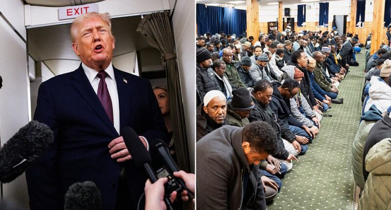 President Donald Trump is ordering thousands of Somalis to leave the US. The White House is ending Temporary Protective Status (TPS) for Somalia, meaning thousands of Somalis in the US under that program must leave, after an alleged fraud scheme exploded in Minnesota and made national headlines. Those affected must leave the country by March 17. There are roughly 2,500 Somalis in the US under TPS, Department of Homeland Security (DHS) sources revealed to Fox News. Just under 1,400 of those are in the country with pending applications.