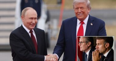 Donald Trump has invited Russia's Vladimir Putin on to oversee the reconstruction of Gaza as a member of his 'Board of Peace' even as Putin continues to wage his own unfettered war in Ukraine. Kremlin officials announced that President Putin received the offer via US diplomatic channels and is currently 'studying all the details of this proposal' before accepting. 'We hope for a contact with the American side so that we can clarify all the details,' Putin's spokesperson Dmitry Peskov told reporters on Monday.
