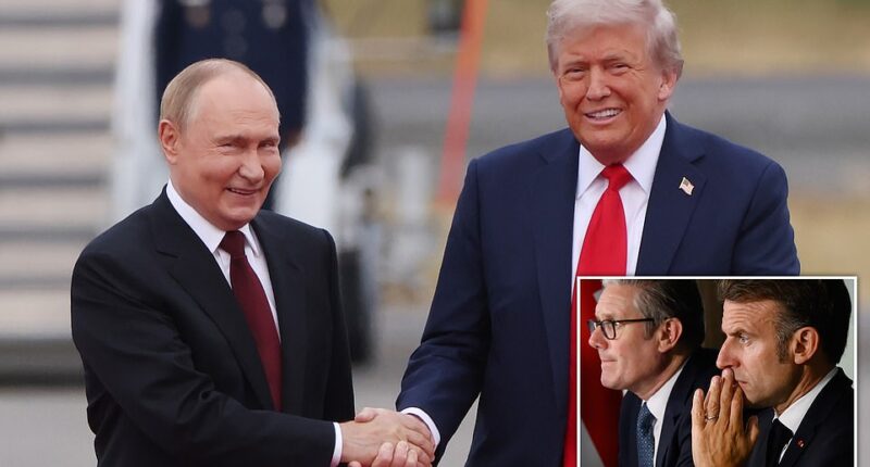 Donald Trump has invited Russia's Vladimir Putin on to oversee the reconstruction of Gaza as a member of his 'Board of Peace' even as Putin continues to wage his own unfettered war in Ukraine. Kremlin officials announced that President Putin received the offer via US diplomatic channels and is currently 'studying all the details of this proposal' before accepting. 'We hope for a contact with the American side so that we can clarify all the details,' Putin's spokesperson Dmitry Peskov told reporters on Monday.
