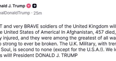 In a statement, the US President said: 'The GREAT and very BRAVE soldiers of the United Kingdom will always be with the United States of America!'
