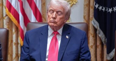 Donald Trump, who will become America's oldest serving president at the end of his second term, admitted he's defying doctor's orders and taking steps to try and mitigate speculation about his health. The president confessed he is dosing more aspirin than his doctors recommend because 'I'm a little superstitious,' the president confessed to the Wall Street Journal. 'They say aspirin is good for thinning out the blood, and I don't want thick blood pouring through my heart,' Trump added. 'I want nice, thin blood pouring through my heart. Does that make sense?' The large dose of 325 milligrams per day, which Trump says he's been taking for 25 years, causes him to bruise more easily and his doctors have encouraged him to take a lower dosage of aspirin. A low dose is usually approximately 81 milligrams, according to the Mayo Clinic.