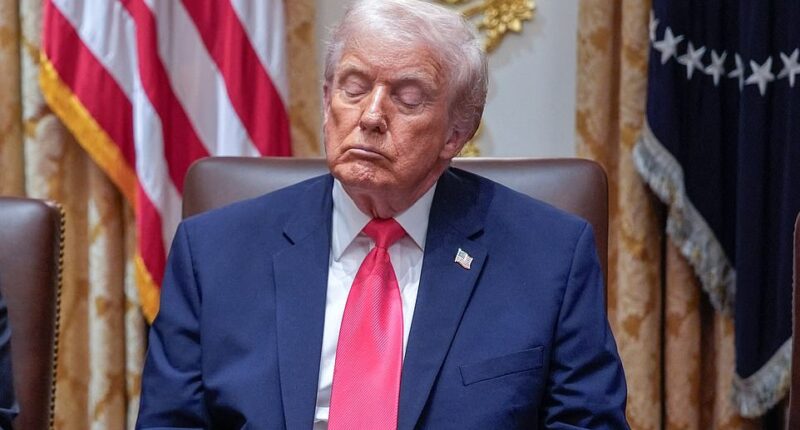 Donald Trump, who will become America's oldest serving president at the end of his second term, admitted he's defying doctor's orders and taking steps to try and mitigate speculation about his health. The president confessed he is dosing more aspirin than his doctors recommend because 'I'm a little superstitious,' the president confessed to the Wall Street Journal. 'They say aspirin is good for thinning out the blood, and I don't want thick blood pouring through my heart,' Trump added. 'I want nice, thin blood pouring through my heart. Does that make sense?' The large dose of 325 milligrams per day, which Trump says he's been taking for 25 years, causes him to bruise more easily and his doctors have encouraged him to take a lower dosage of aspirin. A low dose is usually approximately 81 milligrams, according to the Mayo Clinic.