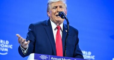 President Donald Trump pledged not to take Greenland, a Danish territory, by force